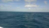 Great day of scuba diving in Key Largo with Rainbow Reef on french reef tropical explorer 2014 12 23 r1064 1
