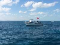 Great day of scuba diving in Key Largo with Rainbow Reef on french reef tropical voyager 2014 12 28 r1091 1