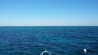 Great day of scuba diving in Key Largo with Rainbow Reef on molasses reef tropical odyssey 2014 12 17 r1041 1