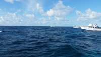 Great day of scuba diving in Key Largo with Rainbow Reef on molasses reef tropical voyager 2014 12 22 r1057 1