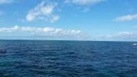 Great day of scuba diving in Key Largo with Rainbow Reef on north star tropical adventure 2014 12 21 r1056 1