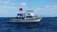 Great day of scuba diving in Key Largo with Rainbow Reef on permit ledges tropical voyager 2014 12 22 r1058 1