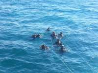 Great day of scuba diving in Key Largo with Rainbow Reef on sand island tropical adventure 2014 12 10 r1019 1