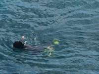 Great day of scuba diving in Key Largo with Rainbow Reef on snapper ledge tropical odyssey 2014 12 12 r1025 1