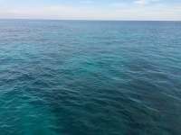 Great day of scuba diving in Key Largo with Rainbow Reef on snapper ledge tropical odyssey 2014 12 12 r1025 2
