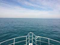 Great day of scuba diving in Key Largo with Rainbow Reef on snapper ledge tropical odyssey 2014 12 12 r1025 3