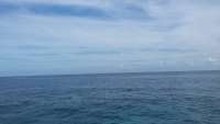 Great day of scuba diving in Key Largo with Rainbow Reef on snapper ledge tropical odyssey 2014 12 31 r1103 1