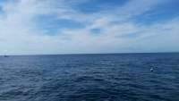 Great day of scuba diving in Key Largo with Rainbow Reef on spanish anchor tropical odyssey 2014 12 31 r1101 1