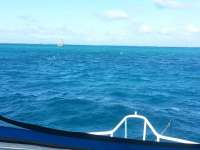 Great day of scuba diving in Key Largo with Rainbow Reef on spiegel grove tropical adventure 2014 12 09 r1016 1