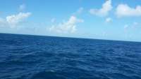 Great day of scuba diving in Key Largo with Rainbow Reef on spiegel grove tropical adventure 2014 12 14 r1028 1