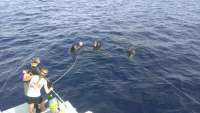 Great day of scuba diving in Key Largo with Rainbow Reef on spiegel grove tropical adventure 2014 12 30 r1097 1