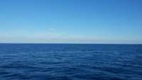 Great day of scuba diving in Key Largo with Rainbow Reef on spiegel grove tropical odyssey 2014 12 18 r1045 1