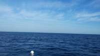Great day of scuba diving in Key Largo with Rainbow Reef on uscgc duane tropical adventure 2014 12 12 r1024 1