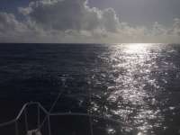 Great day of scuba diving in Key Largo with Rainbow Reef on benwood wreck tropical adventure 2014 02 02 r134 2
