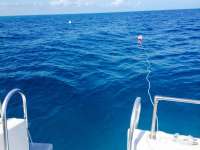 Great day of scuba diving in Key Largo with Rainbow Reef on benwood wreck tropical explorer 2014 02 08 r142 1