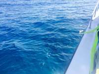 Great day of scuba diving in Key Largo with Rainbow Reef on benwood wreck tropical explorer 2014 02 08 r142 2