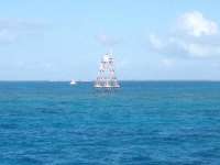 Great day of scuba diving in Key Largo with Rainbow Reef on eagle ray alley tropical adventure 2014 02 06 r138 1