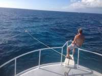 Great day of scuba diving in Key Largo with Rainbow Reef on eagle ray alley tropical adventure 2014 02 06 r138 2
