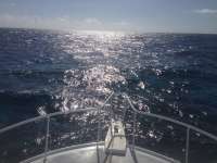 Great day of scuba diving in Key Largo with Rainbow Reef on fire coral cave tropical adventure 2014 02 01 r132 3