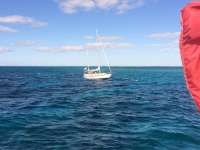 Great day of scuba diving in Key Largo with Rainbow Reef on molasses reef tropical adventure 2014 02 17 r152 1