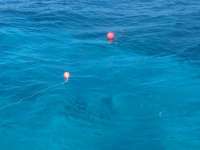 Great day of scuba diving in Key Largo with Rainbow Reef on pts ledge tropical adventure 2014 02 22 r160 2