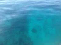 Great day of scuba diving in Key Largo with Rainbow Reef on snapper ledge tropical adventure 2014 02 09 r143 1