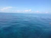 Great day of scuba diving in Key Largo with Rainbow Reef on snapper ledge tropical adventure 2014 02 09 r143 2