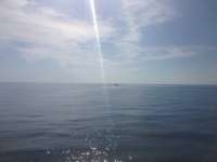 Great day of scuba diving in Key Largo with Rainbow Reef on snapper ledge tropical adventure 2014 02 09 r143 3