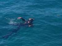 Great day of scuba diving in Key Largo with Rainbow Reef on snapper ledge tropical adventure 2014 02 14 r147 3