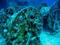 Great day of scuba diving in Key Largo with Rainbow Reef on uscgc duane tropical adventure 2014 02 12 r145 2