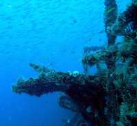 Great day of scuba diving in Key Largo with Rainbow Reef on uscgc duane tropical adventure 2014 02 28 r172 1