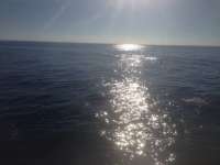 Great day of scuba diving in Key Largo with Rainbow Reef on benwood wreck tropical adventure 2014 01 26 r127 1