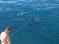 Great day of scuba diving in Key Largo with Rainbow Reef on benwood wreck tropical adventure 2014 01 26 r127 2