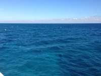 Great day of scuba diving in Key Largo with Rainbow Reef on eagle ray alley tropical adventure 2014 01 23 r126 2