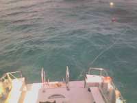 Great day of scuba diving in Key Largo with Rainbow Reef on french reef tropical voyager 2014 01 14 r122 2