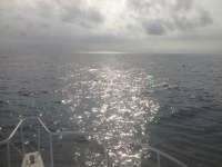 Great day of scuba diving in Key Largo with Rainbow Reef on molasses reef tropical adventure 2014 01 29 r128 3