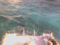 Great day of scuba diving in Key Largo with Rainbow Reef on north star tropical voyager 2014 01 11 r120 2