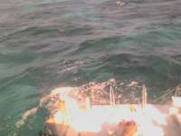 Great day of scuba diving in Key Largo with Rainbow Reef on north star tropical voyager 2014 01 11 r120 3