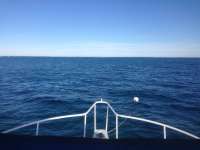 Great day of scuba diving in Key Largo with Rainbow Reef on snapper ledge tropical adventure 2014 01 17 r123 1