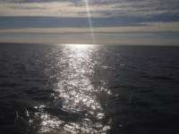 Great day of scuba diving in Key Largo with Rainbow Reef on snapper ledge tropical adventure 2014 01 17 r123 3
