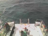 Great day of scuba diving in Key Largo with Rainbow Reef on snapper ledge tropical voyager 2014 01 12 r121 1