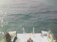 Great day of scuba diving in Key Largo with Rainbow Reef on snapper ledge tropical voyager 2014 01 12 r121 2