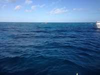 Great day of scuba diving in Key Largo with Rainbow Reef on winch hole tropical adventure 2014 01 02 r118 1
