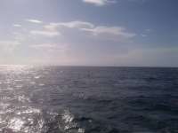 Great day of scuba diving in Key Largo with Rainbow Reef on benwood wreck tropical adventure 2014 07 06 r457 1