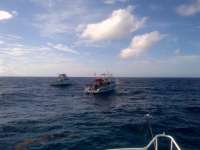 Great day of scuba diving in Key Largo with Rainbow Reef on benwood wreck tropical adventure 2014 07 13 r490 1