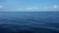 Great day of scuba diving in Key Largo with Rainbow Reef on benwood wreck tropical odyssey 2014 07 20 r526 1