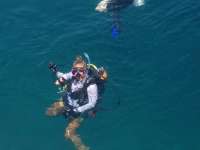 Great day of scuba diving in Key Largo with Rainbow Reef on benwood wreck tropical odyssey 2014 07 28 r562 4