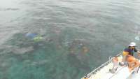 Great day of scuba diving in Key Largo with Rainbow Reef on benwood wreck tropical voyager 2014 07 16 r510 1