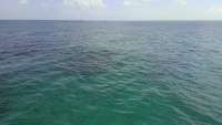 Great day of scuba diving in Key Largo with Rainbow Reef on christ statue tropical voyager 2014 07 25 r552 1