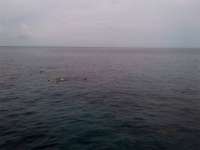 Great day of scuba diving in Key Largo with Rainbow Reef on christmastree cave tropical odyssey 2014 07 01 r436 1